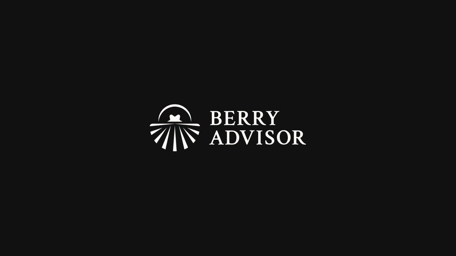 Logo Berry Advisor